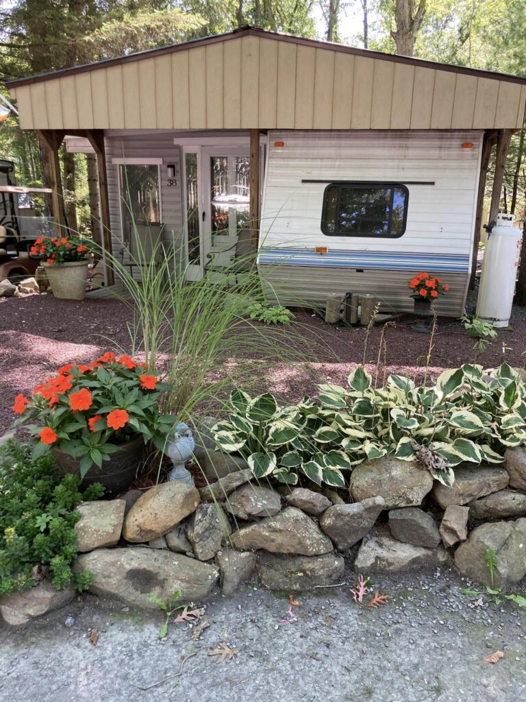 4 Site 38 photo